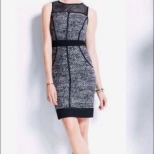 NWOT  Ann Taylor dress